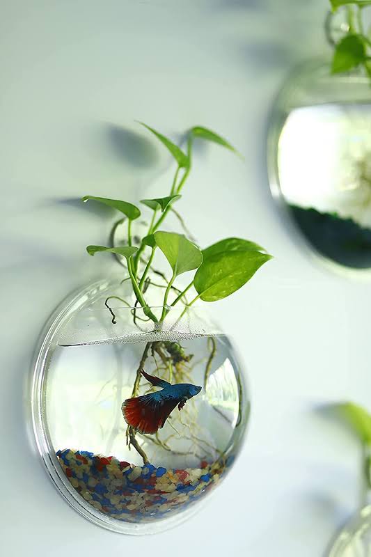 Fish Aquarium - Vastu Home Decor Ideas