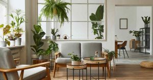 Indoor-Plants-for-living-room-blog-BG