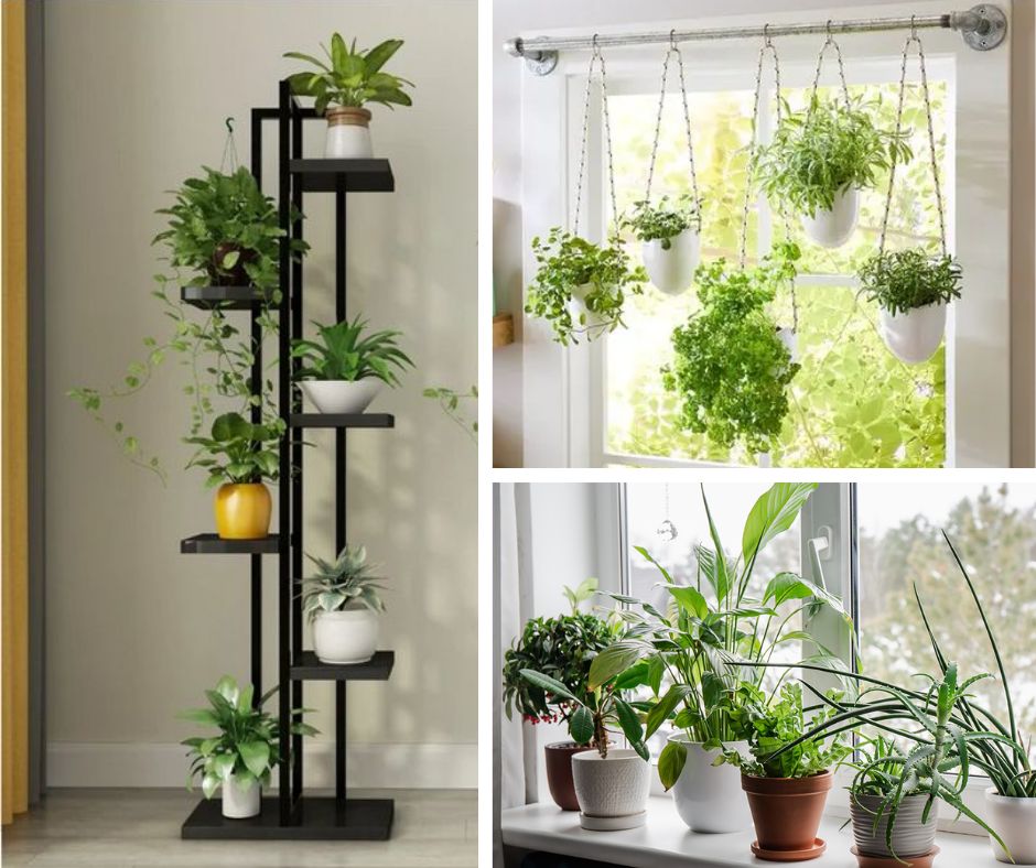 Plants Placement ideas 