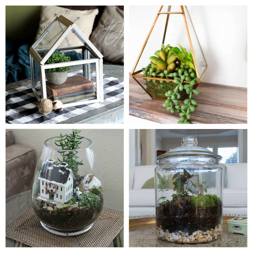 DIY Terrarium | Modern DIY Home Decor ideas