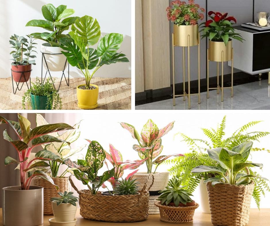 Types of Planters | Living Room Indoor Plant Decoration Ideas