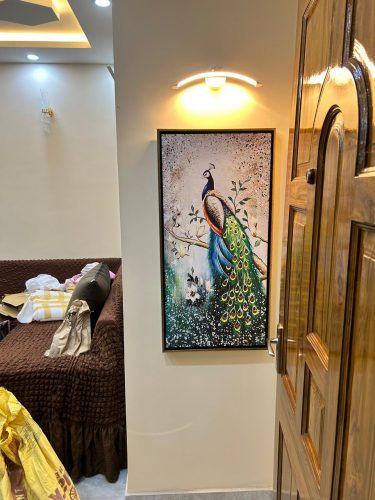 Canvas of Infinity Peacock Painting photo review