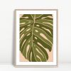Single Leaf with Pink Background