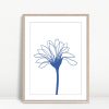 Blueprint Bloom in Gentle Silence