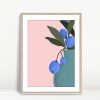 Blueberry Dreams on Blush Mornings
