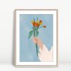 Tulip Offering in Gentle Light