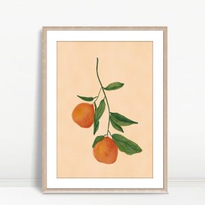 Citrus Calm on Morning Branches