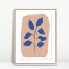 Botanical Mark on Clay Field
