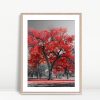 Scarlet Maple In Monochrome Park