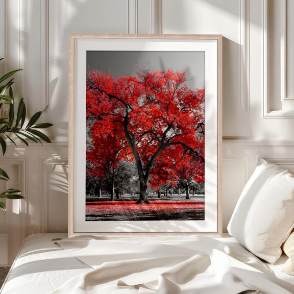 Scarlet Maple In Monochrome Park - Image 5