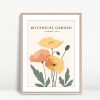 Botanical Garden Peach And Gold Poppies