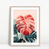 Coral Monstera Leaf Botanical Art