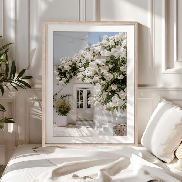 White Blossoms Over Mediterranean Doorway - Image 5