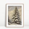 Snow Laden Pine In Winter Forest