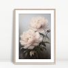 Soft Blush Peonies Elegant Painting