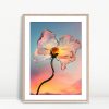 Glass Blossom Against Radiant Sunset