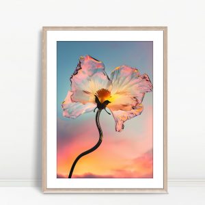 Glass Blossom Against Radiant Sunset