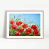 Scarlet Poppies and Daisies