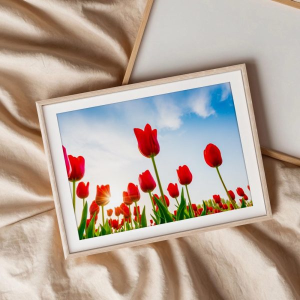 Scarlet Tulips Under Blue Sky - Image 3