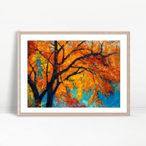 Autumn Blaze Golden Maple Canopy