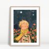 Dreamy Boy With Rose Under Stars