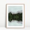 Misty Forest Reflections Tranquility