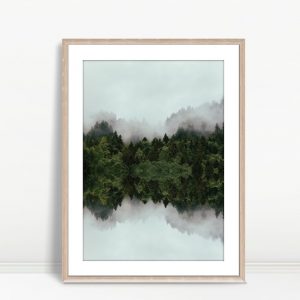 Misty Forest Reflections Tranquility
