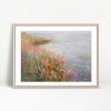 Wildflowers by Tranquil Waters