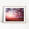 Misty Sunrise Over Autumn Leaves