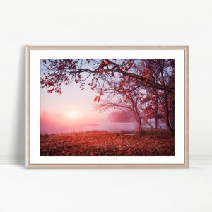 Misty Sunrise Over Autumn Leaves