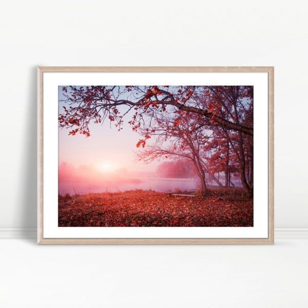 Misty Sunrise Over Autumn Leaves