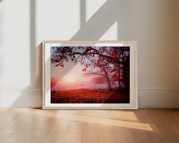 Misty Sunrise Over Autumn Leaves - Image 2