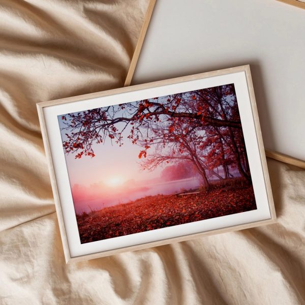 Misty Sunrise Over Autumn Leaves - Image 3