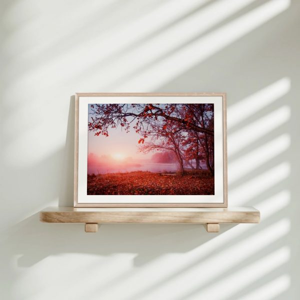 Misty Sunrise Over Autumn Leaves - Image 4