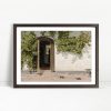 Vines And Doorway In Country Sunlight