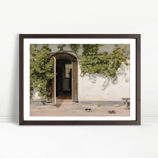 Vines And Doorway In Country Sunlight