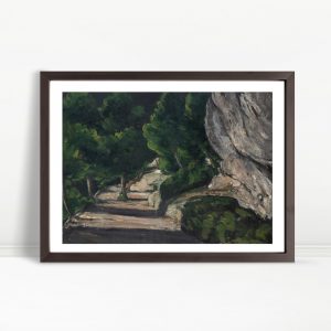 Rocky Forest Path In Afternoon Shade