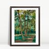 Sunlit Green Forest with Tall Trees