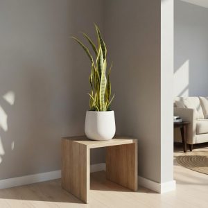 Artificial Variegated Sansevieria Plant