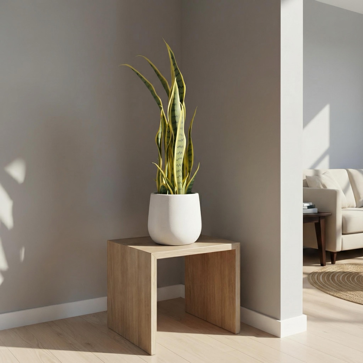 Artificial Variegated Sansevieria Plant