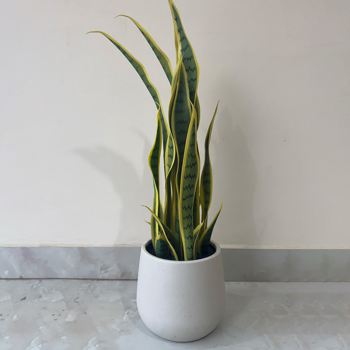 Artificial Variegated Sansevieria Plant - Image 4