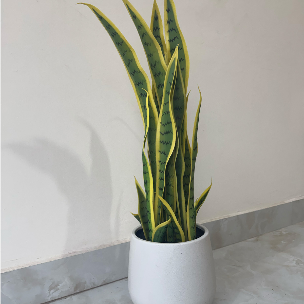 Artificial Variegated Sansevieria Plant - Image 5