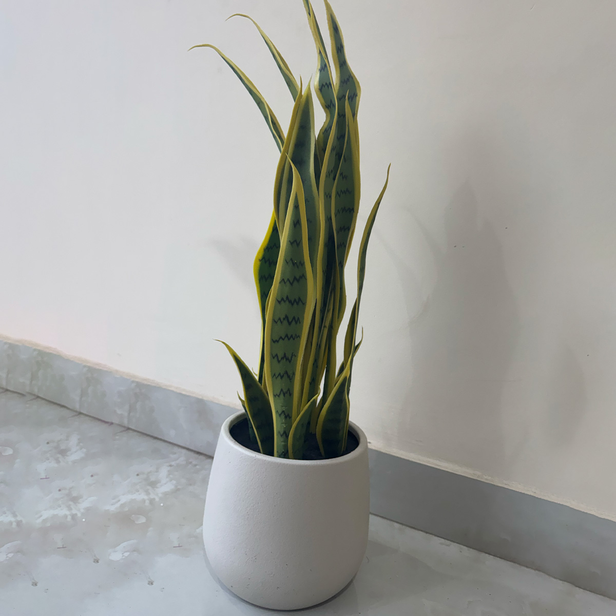 Artificial Variegated Sansevieria Plant - Image 6