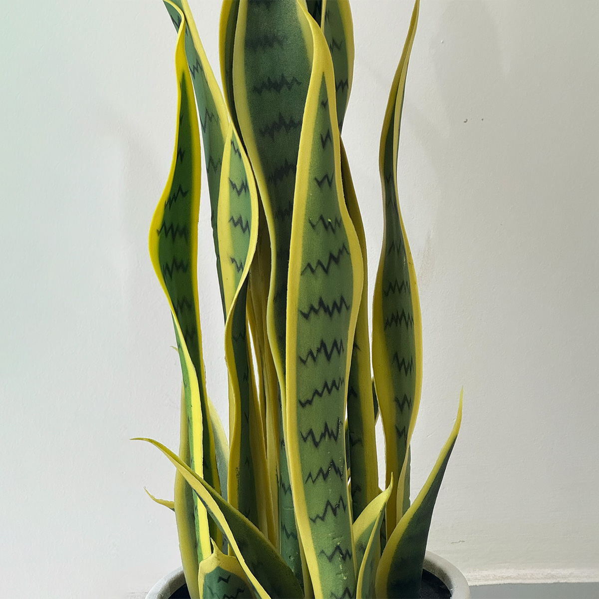 Artificial Variegated Sansevieria Plant - Image 7
