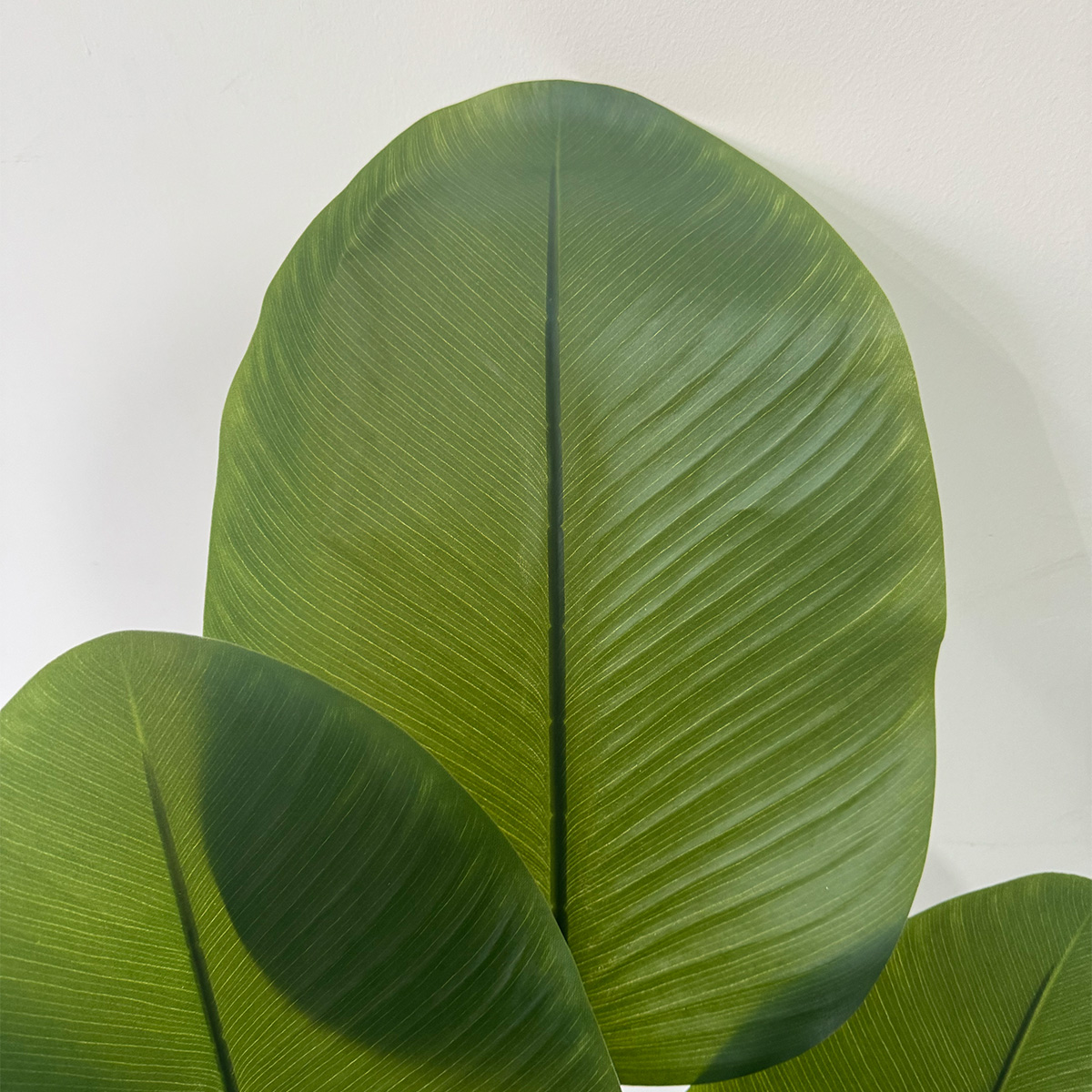 Artificial Cigar Arrowroot Plant - Image 7