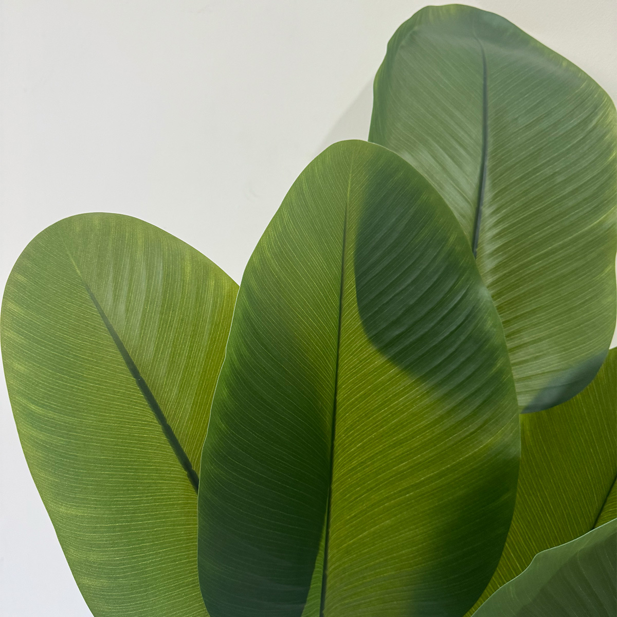 Artificial Cigar Arrowroot Plant - Image 8