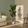 Fiddle Leaf Fig Artificial Plant