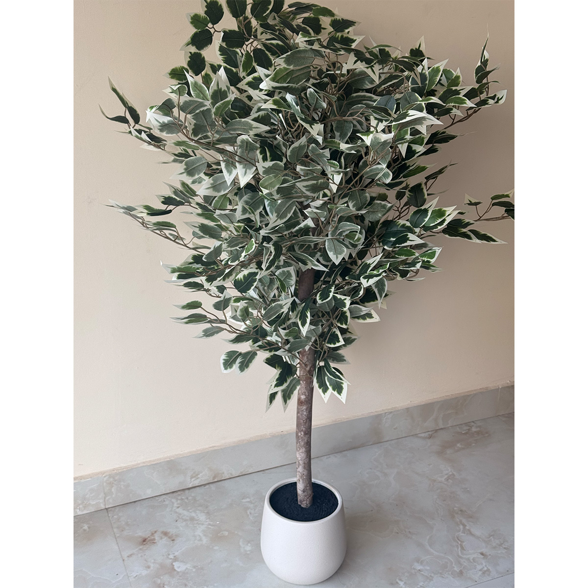 Artificial Variegated Ficus Tree Plant - Image 5