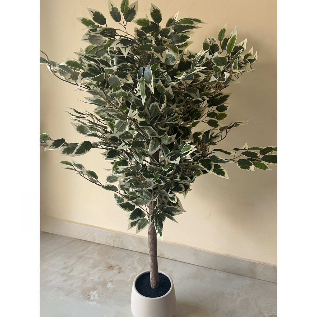 Artificial Variegated Ficus Tree Plant - Image 6