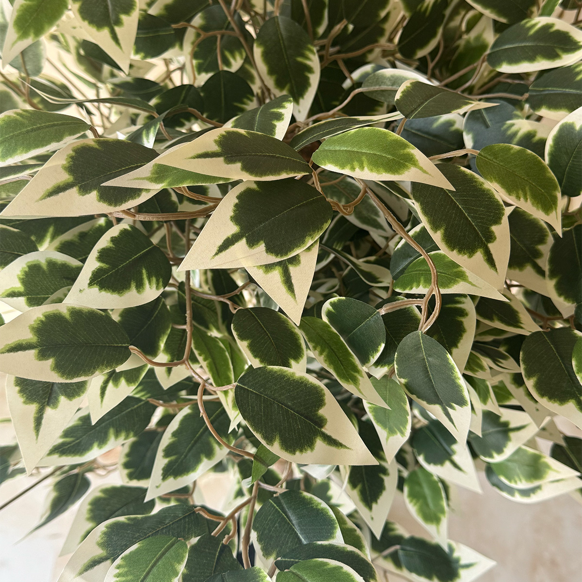 Artificial Variegated Ficus Tree Plant - Image 7